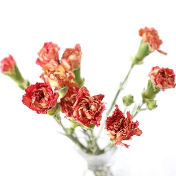 20pcs/veľa,Prírodné Sušené kvety Kytice,Večný Klinček kyticu pre Svadobné Domáce Dekorácie doplnky,deň matiek darček